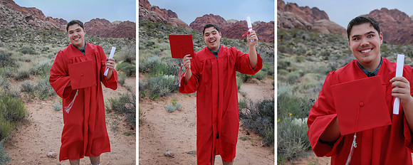 2015 steven pg07-08 10x8 pano page