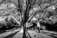bollinger 2020 DEB_4256-Edit bwsoft