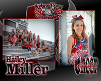 2019 AV Cheer Plaques