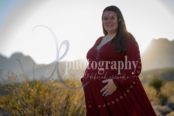 2025 kiersten & justin DE2_3549