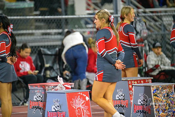 07 v vs liberty DE2_6622