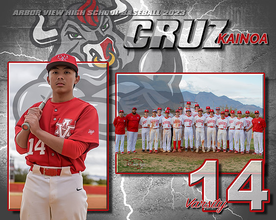 v14 2023 plaque baseball