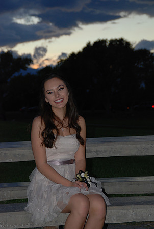 2015 hoco IMG_2083