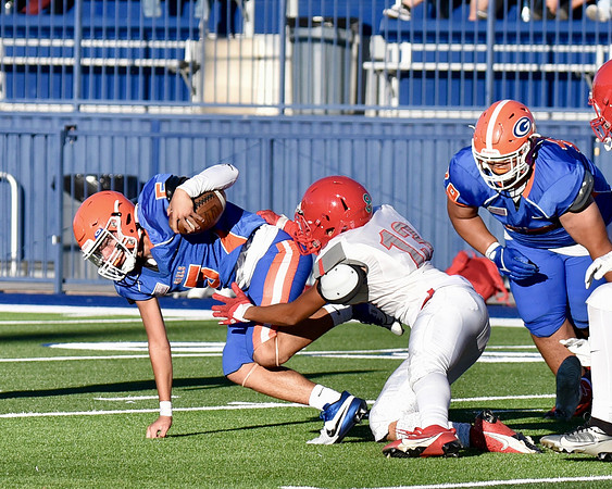 05 f vs gorman 750_9713