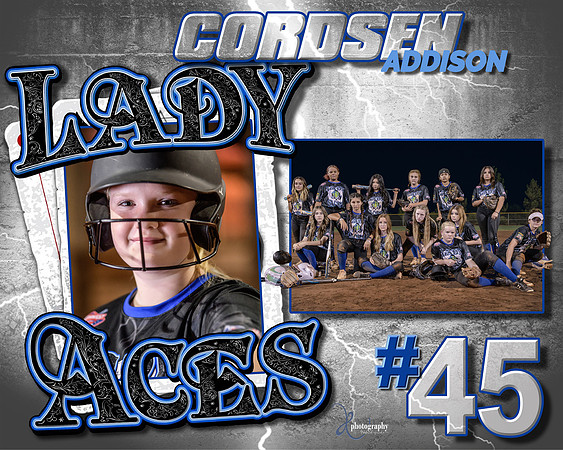 45 2022 softball plaque templet