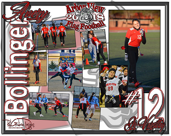 jv12ff 2018 football poster