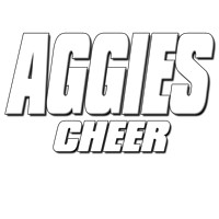 Arbor View Cheerleaders