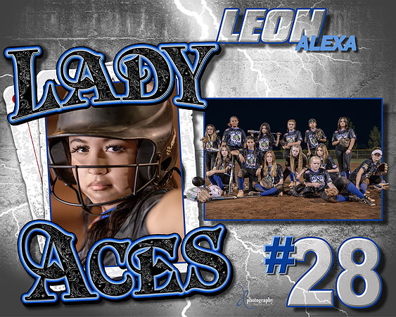 28 2022 softball plaque templet