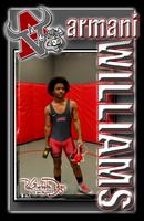 Arbor View Wrestling Lanyards