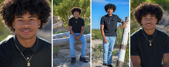 2024 adrian pg01-02 10x8 pano page