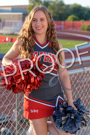 briley hopp DE2_4640