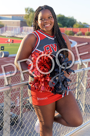 brianna artis DE2_4613