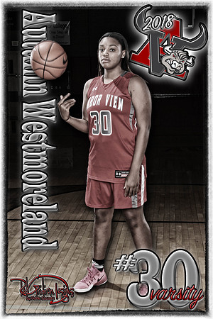 v30 Basketball Lanyard
