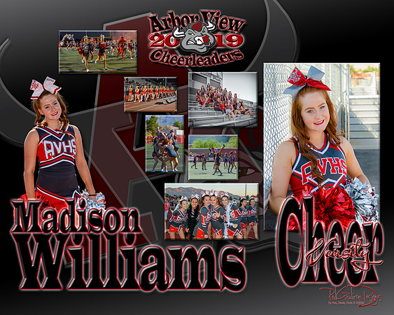 v cheer madison williams 2019 poster
