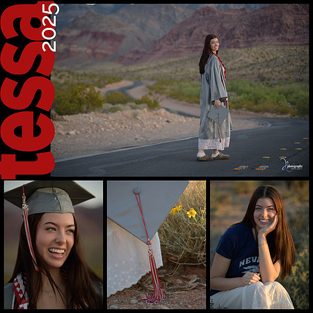 2025 tessa