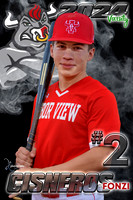 2024 Baseball Lanyards