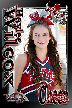 v haylee wilcox