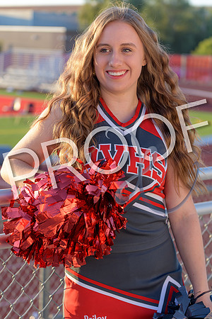 briley hopp DE2_4642